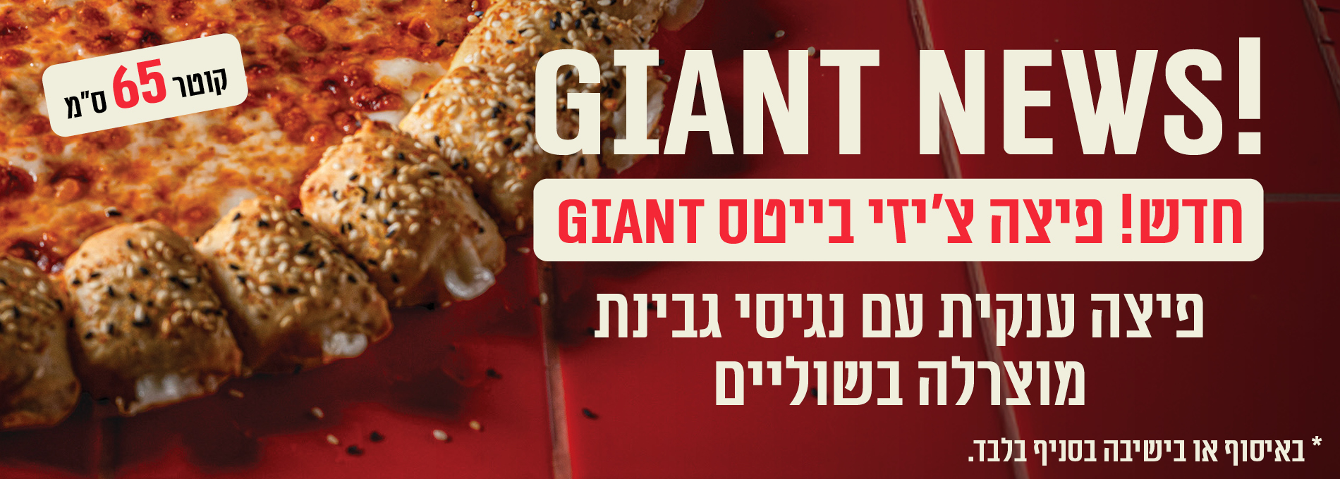 55416 F Cheesebites Sg 1900 ├ק 680 (002)
