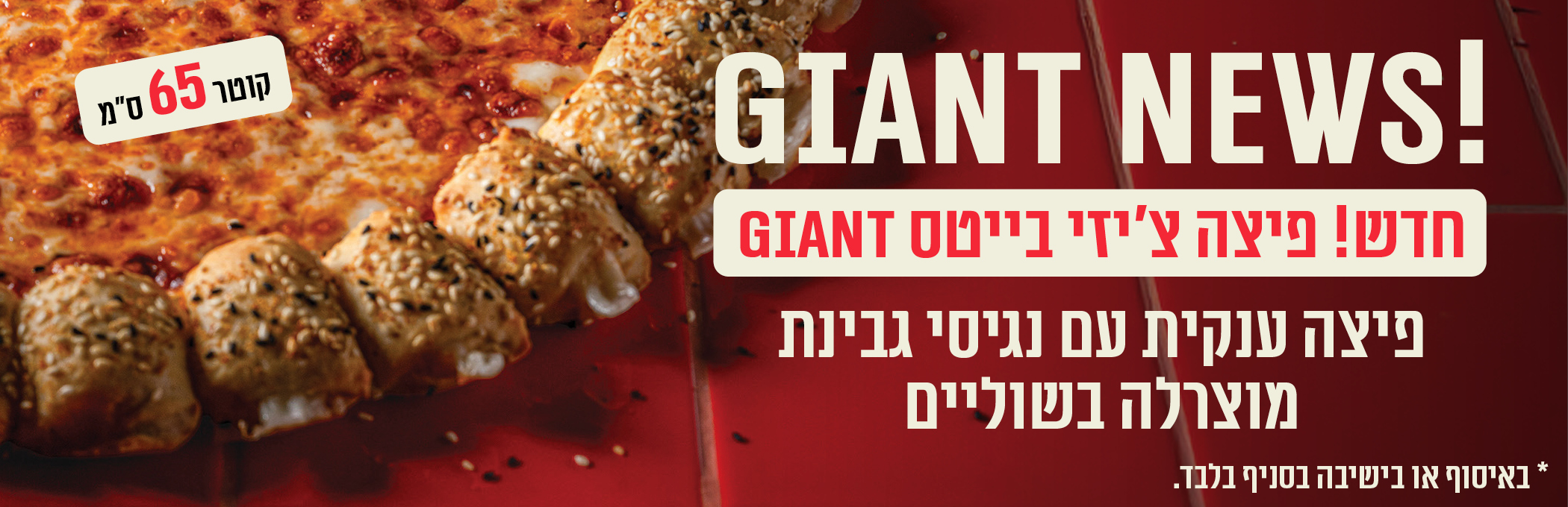 55416 F Cheesebites Sg 2100 ├ק 680 (002)
