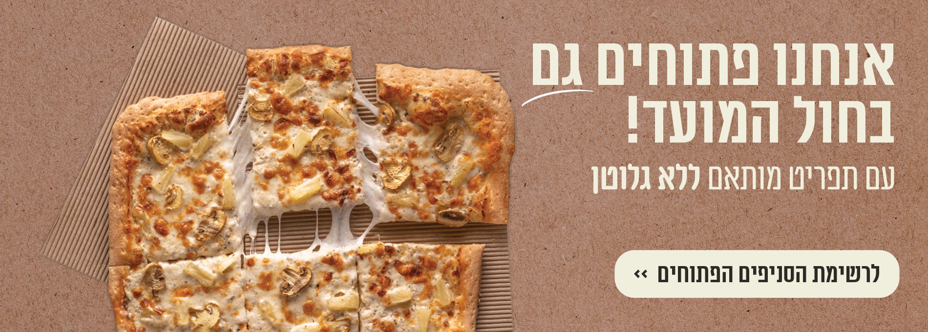 57320 S Banners Passover 6 1900 × 680